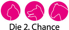 Die 2. Chance Logo